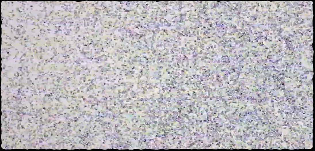 For Your Consumption Pleasure...GYULA TECH VIDEO